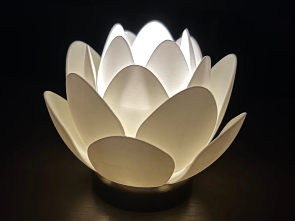 LAMP
